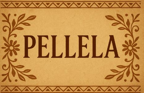 Discover Pellela—its origins, cultural traditions, artistic influence, and modern significance.